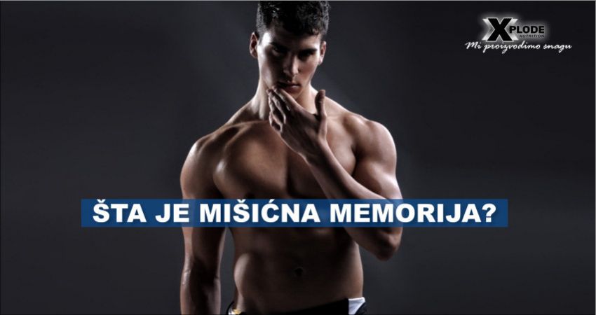 Šta je mišićna memorija? | Xplode Nutrition