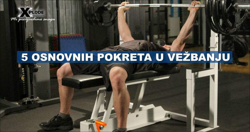 5 osnovnih pokreta u vežbanju - Xplode Nutrition