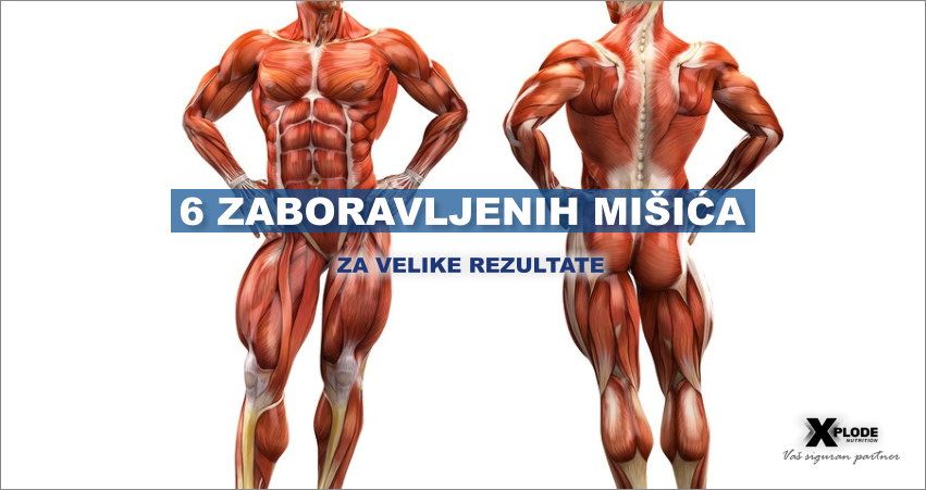 6 zaboravljenih mišića - Xplode Nutrition