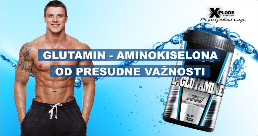 Glutamin – aminokiselina od presudne važnosti | Xplode Nutrition