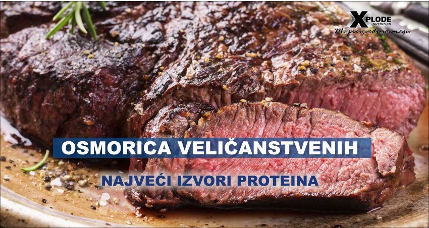 Osmorica veličanstvenih